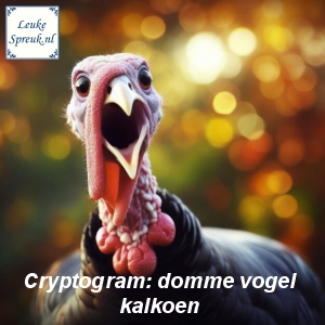 Cryptogram Vogels Domme Vogel Kalkoen