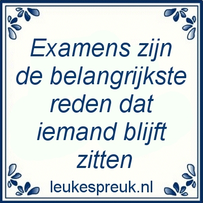 Grappige Examen Quotes Belangrijkste Reden Blijven ZItten